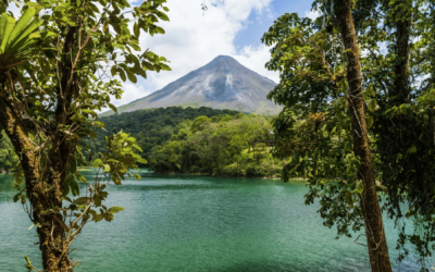 Presidente de Costa Rica promueve la recuperación sostenible tras la pandemia