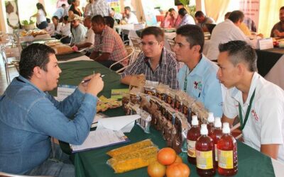 Flores y otros productos agrícolas de Guatemala, ganan un importante terreno en la demanda internacional