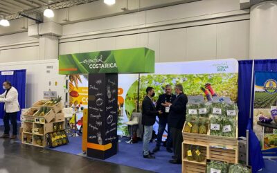 Sector agrícola de Costa Rica promociona su diversidad en feria New York Produce