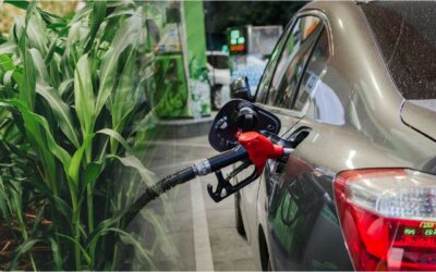 Agricultura ayudaría a impulsar la descarbonización del transporte a través de los biocombustibles
