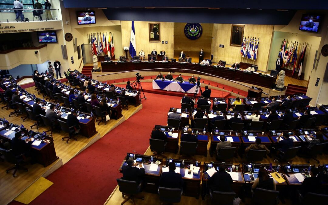 El Congreso de El Salvador aprueba sancionar penalmente el maltrato animal