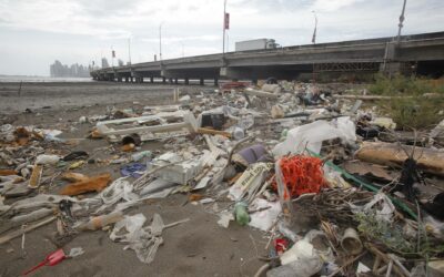 ¿Por qué urge un nuevo tratado internacional sobre contaminación por plásticos?