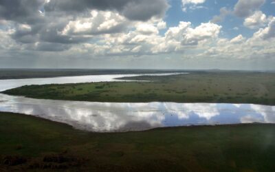 Gobierno de Honduras anuncia un plan para rescatar la biosfera del Río Plátano