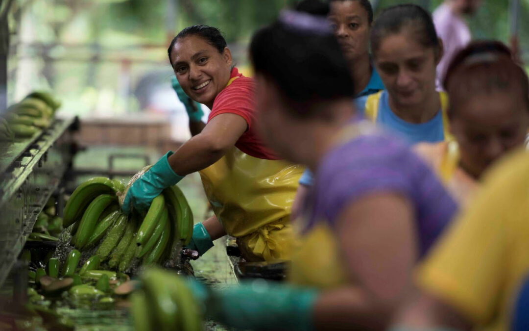 Fincas en Costa Rica, Belice, Ecuador y Honduras de Fyffes capacitan en igualdad de género