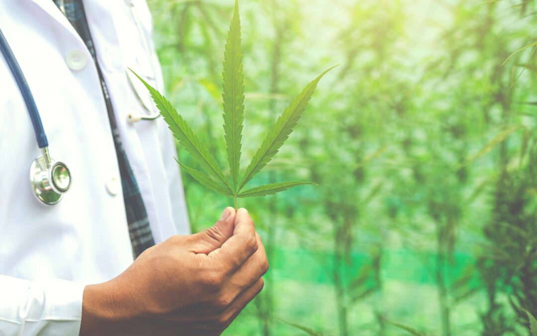 Costa Rica apunta a la millonaria industria del cáñamo y cannabis medicinal