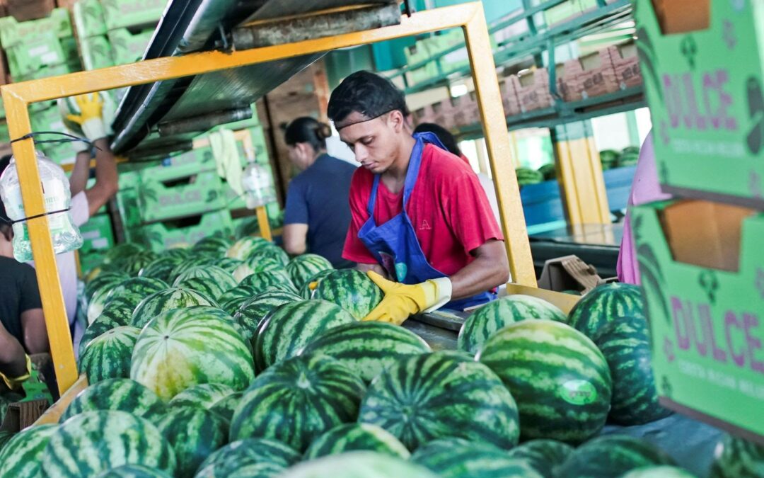 Costa Rica: Exportaciones de bienes crecen en todos los sectores de la economía para el segundo mes del año