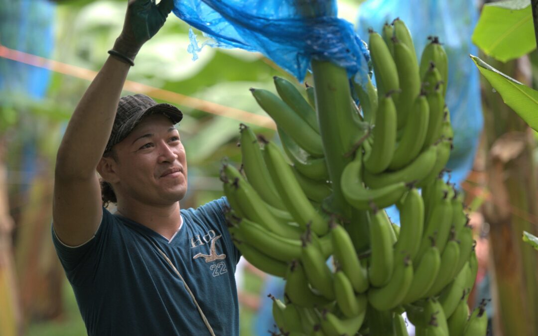 Derechos Humanos toma protagonismo en sector de productos frescos tropicales