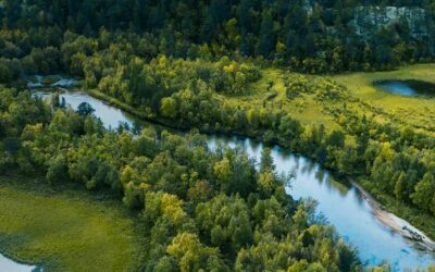 Día Mundial de la Tierra: Presionan a centros de datos a ver más allá de la eficiencia energética