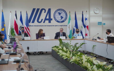 IICA promueve reglamentos técnicos en Centroamérica y el Caribe para facilitar el comercio