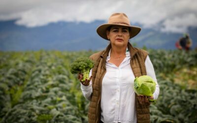 Walmart realizó compras por US$67,7 millones a pymes y productores agrícolas costarricenses en 2021