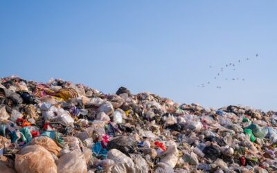 Centroamérica combatirá en conjunto la basura marina y la contaminación por plásticos