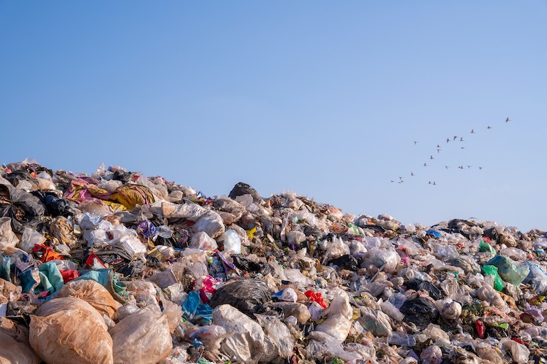Centroamérica combatirá en conjunto la basura marina y la contaminación por plásticos