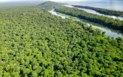 Costa Rica, Colombia y Ecuador consideran irreversible su «apuesta verde»
