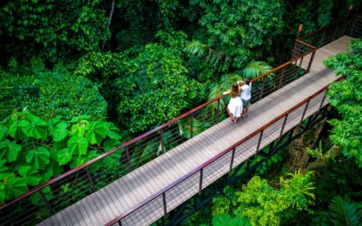 Costa Rica: Turistas buscan experiencias auténticas y envolventes este 2024