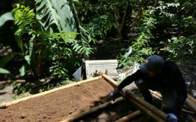 Costa Rica: Residuos orgánicos de Guanacaste Aeropuerto fertilizarán huertas liberianas
