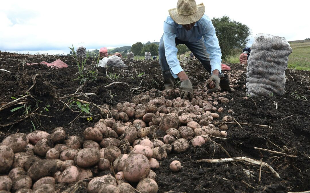 IICA y CropLife capacitan a funcionarios sobre buenas prácticas agrícolas en Centroamérica