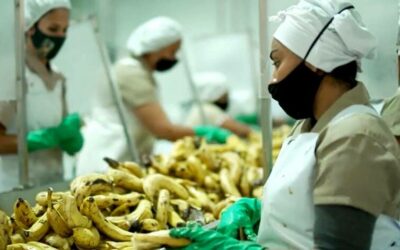 Costa Rica: Mexifrutas anuncia inversión de US$5 millones en Siquirres
