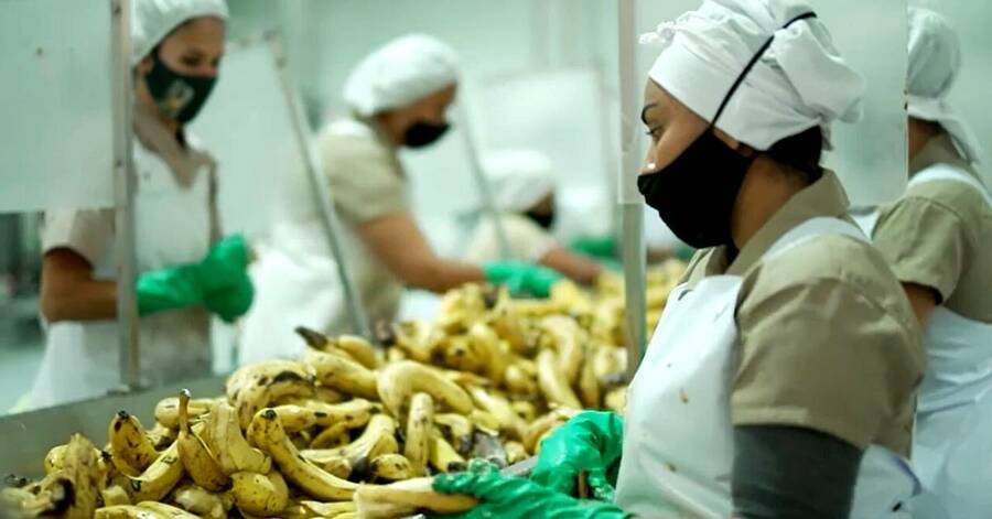 Costa Rica: Mexifrutas anuncia inversión de US$5 millones en Siquirres