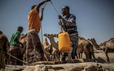Más de 5.000 millones de personas tendrán problemas de acceso al agua en 2050