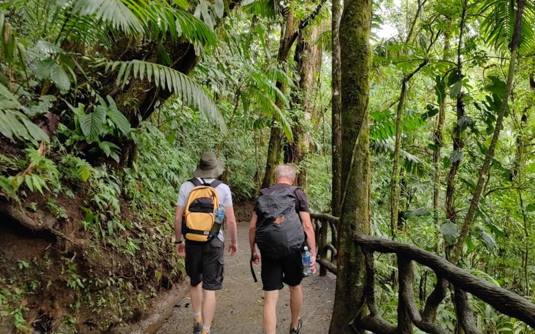 Proyecto genera avances prometedores para la conservación de bosques secundarios en Costa Rica 