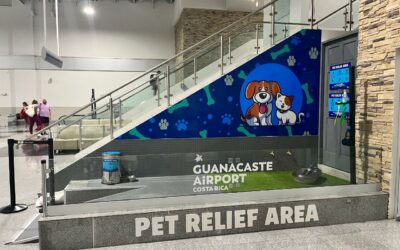 Costa Rica: Guanacaste Aeropuerto inaugura zona especial para mascotas que esperan vuelos
