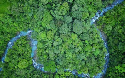 Hotel costarricense logra reconocimiento al estándar del Certificado de Sostenibilidad Turística (CST)