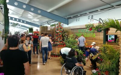 Expo Jardinería en Costa Rica buscará reactivar sector diseño y construcción