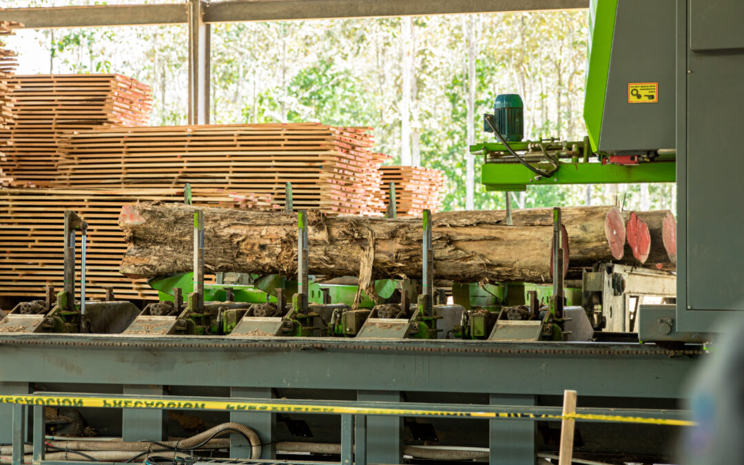 Panamá cuenta con la primera planta procesadora de teca