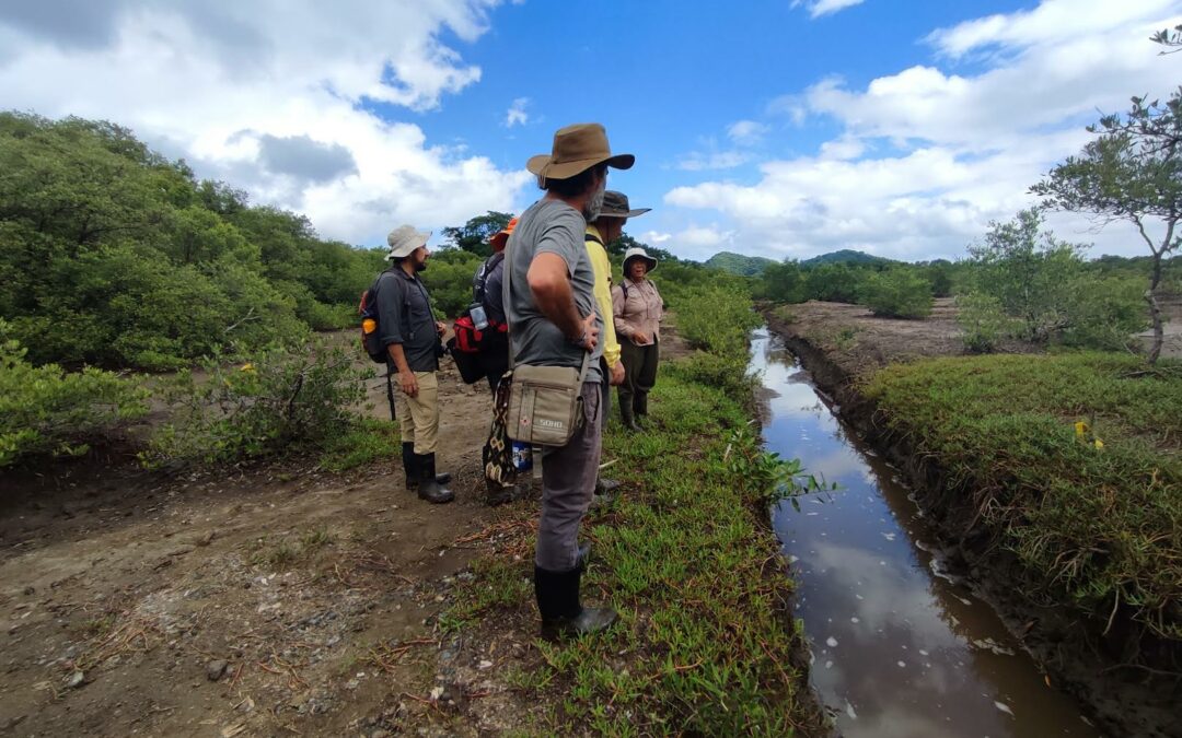 Costa Rica: Davivienda recibe premio por compromiso económico en comunidades aledañas a manglares