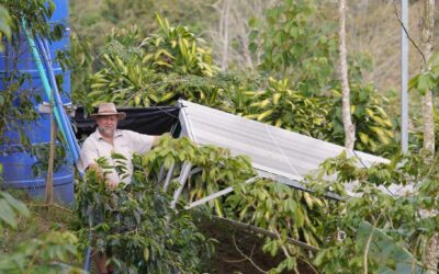 Lecanto destaca en Costa Rica entre los proyectos que son 100% autosuficientes