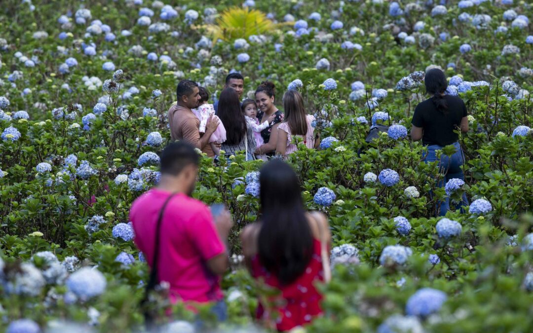«El Campo de las Mil Flores», el nuevo atractivo turístico de Nicaragua