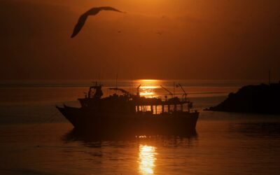 Conferencia mundial sobre océanos cerró con más de 340 acuerdos en Panamá