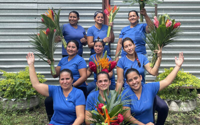 Mujeres exportadoras: historias que inspiran a hacer negocios