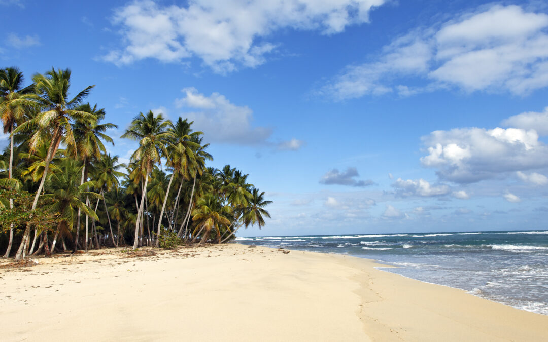 Las 5 playas de América Latina que cumplen los estrictos requisitos para ser Reserva Mundial del Surf