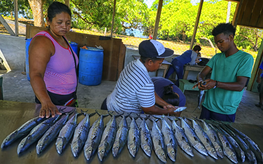 Comunidad de región más remota de Honduras transforma su mercado gracias a las renovables