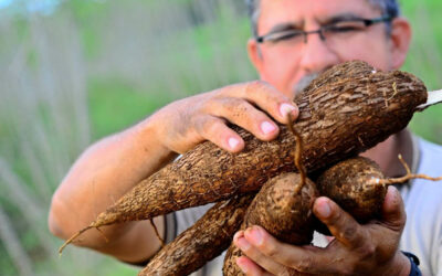 Costa Rica: Tercera edición de Agrotransformación reunirá al sector agrícola en Guanacaste