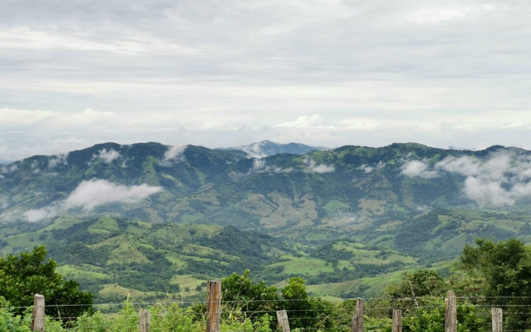 Proyecto impulsará la conservación de bosques secundarios en Costa Rica para la generación de empleo rural 