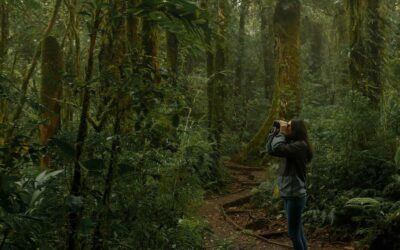 Monteverde espera a costarricenses con precios especiales, aventuras y conexión natural 