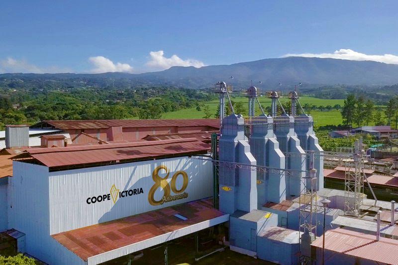 Costa Rica: Café de Occidente generará 3.000 empleos y ₡3.200 millones en ventas durante cosecha 2023-2024