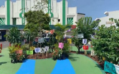 Costa Rica: Jardines y arte en zonas verdes buscan embellecer la ciudad de San José