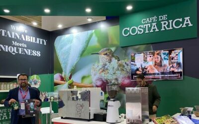 Café de Costa Rica brilla en la Seúl International Coffee Show