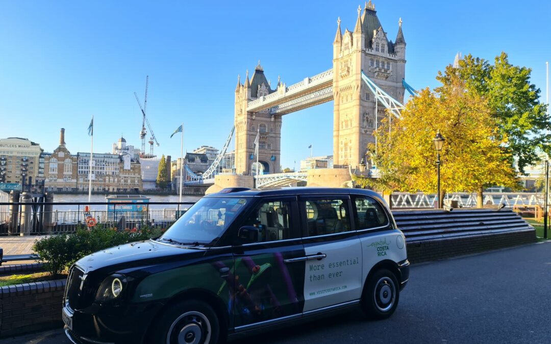 Ranas de ojos rojos presumen su belleza y la de Costa Rica en taxis en Londres