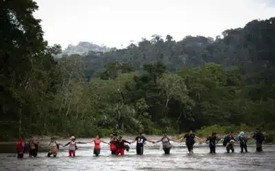 Flujo de migrantes que entran a Panamá por la selva del Darién cae un 96%, hasta los 2.637