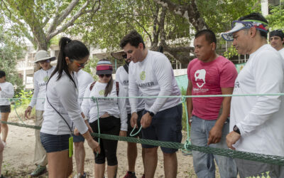 Costa Rica: 15 nuevos pasos de fauna conectarán la vida silvestre en Punta Cacique, Guanacaste