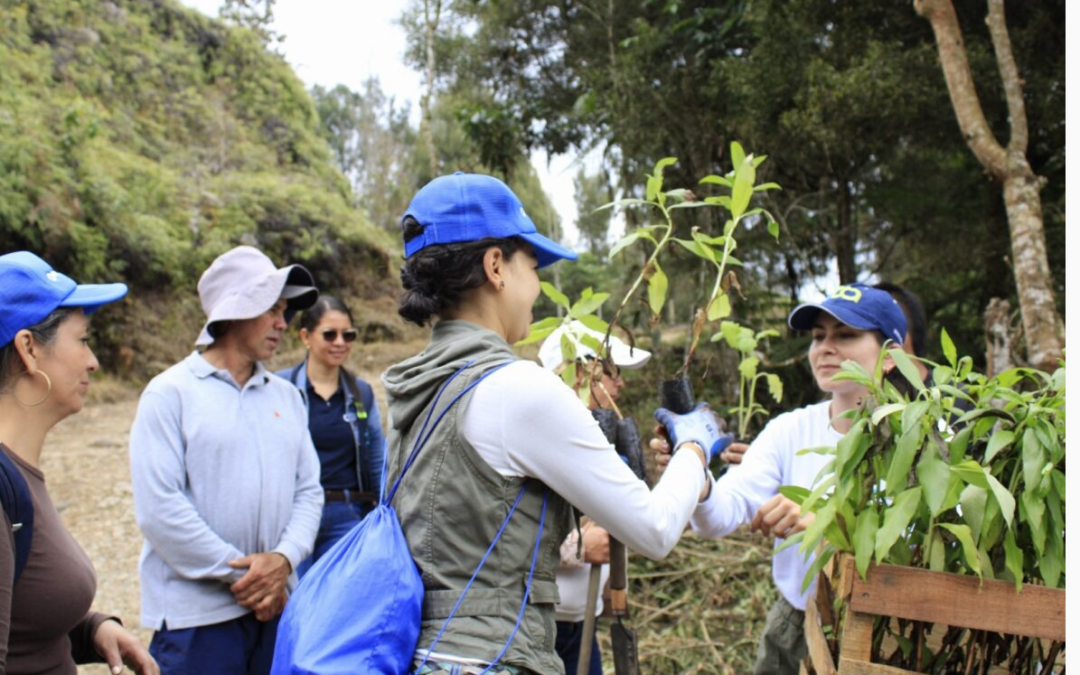 Kimberly-Clark Professional inicia en Costa Rica, Colombia y Perú su estrategia de sostenibilidad