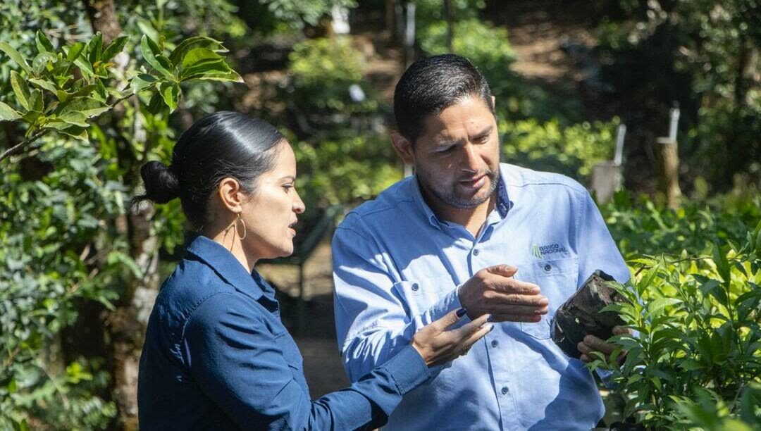 Costa Rica: Monteverde transforma residuos en abono orgánico a gran escala