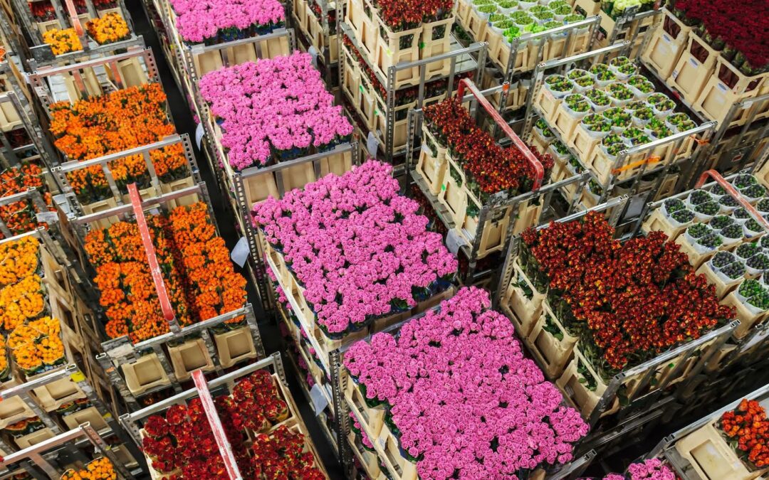 Empresas fortalecen alianza con SAF para reducir las emisiones en el transporte de flores 