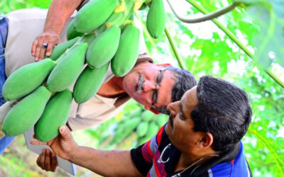 Cuarta edición de Agrotransformación impulsará la agricultura sostenible en Costa Rica