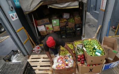 Países de UE acuerdan posición en normativa para tirar menos comida y reciclar más textil