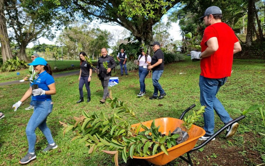 Siembratón busca plantar 2 millones y medio de árboles en Costa Rica